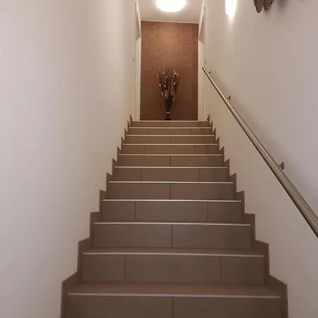 Penthouse Griemann 1 Mit Infrarotkabine Und Eigener Dachterrasse Fuer Max 4 Personen Illmitz Exterior photo