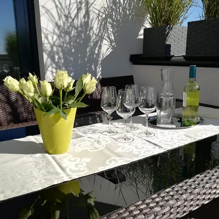 Penthouse Griemann 1 Mit Infrarotkabine Und Eigener Dachterrasse Fuer Max 4 Personen Illmitz Exterior photo
