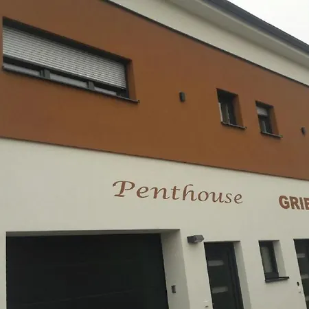 Penthouse Griemann 1 Mit Infrarotkabine Und Eigener Dachterrasse Fuer Max 4 Personen Illmitz Exterior photo
