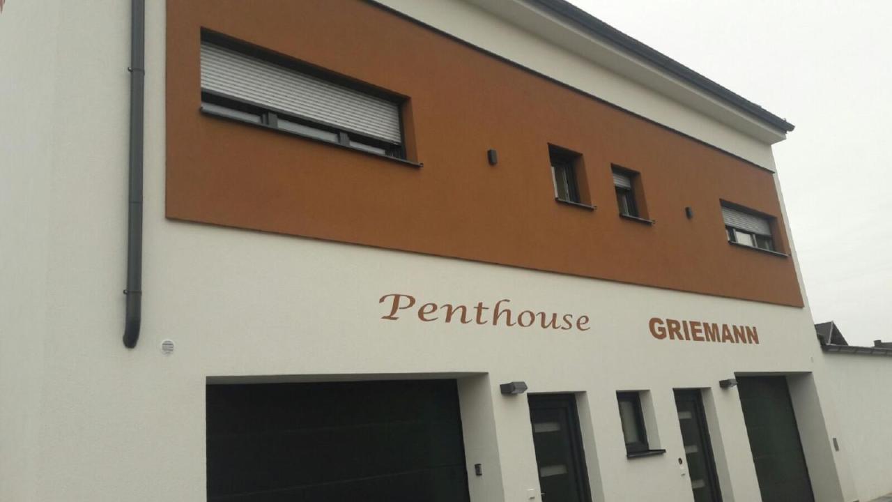 Penthouse Griemann 1 Mit Infrarotkabine Und Eigener Dachterrasse Fuer Max 4 Personen Apartment Illmitz
